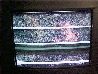 Television interference caused by a GSM900 transmitter